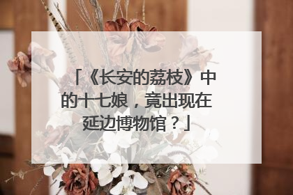 《长安的荔枝》中的十七娘，竟出现在延边博物馆？