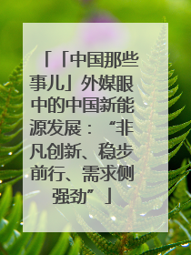 「中国那些事儿」外媒眼中的中国新能源发展：“非凡创新、稳步前行、需求侧强劲”