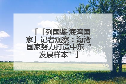 「列国鉴·海湾国家」记者观察：海湾国家努力打造中东“发展样本”