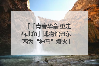 「青春华章·重走西北角」博物馆丑东西为“神马”爆火