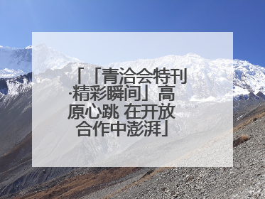 「青洽会特刊·精彩瞬间」高原心跳 在开放合作中澎湃