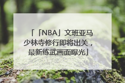 「NBA」文班亚马少林寺修行即将出关，最新练武画面曝光