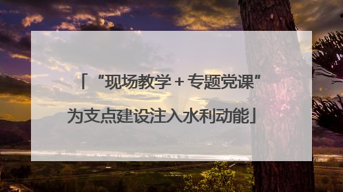 “现场教学＋专题党课”为支点建设注入水利动能