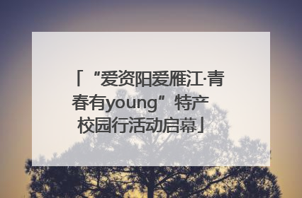 “爱资阳爱雁江·青春有young”特产校园行活动启幕