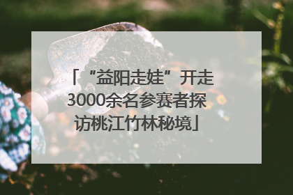 “益阳走娃”开走 3000余名参赛者探访桃江竹林秘境