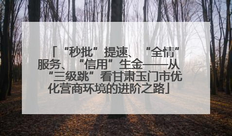 “秒批”提速、“全情”服务、“信用”生金——从“三级跳”看甘肃玉门市优化营商环境的进阶之路