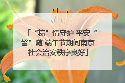 “粽”情守护 平安“警”随 端午节期间南京社会治安秩序良好