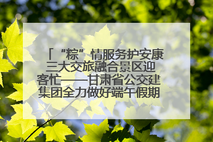 “粽”情服务护安康 三大交旅融合景区迎客忙——甘肃省公交建集团全力做好端午假期景区运营工作