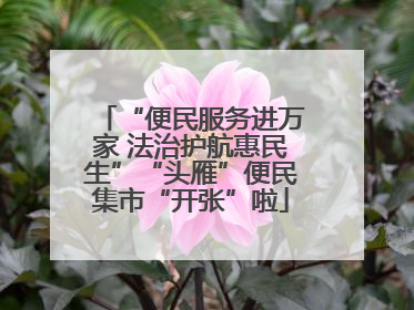 “便民服务进万家 法治护航惠民生”“头雁”便民集市“开张”啦