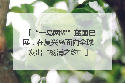 “一岛两翼”蓝图已展，在复兴岛面向全球发出“杨浦之约”
