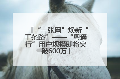“一张网”焕新“千条路”——“粤通行”用户规模即将突破600万
