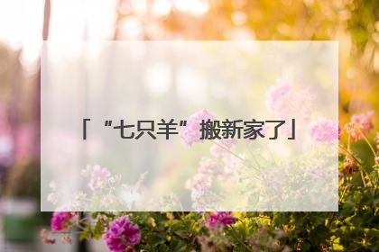 “七只羊”搬新家了