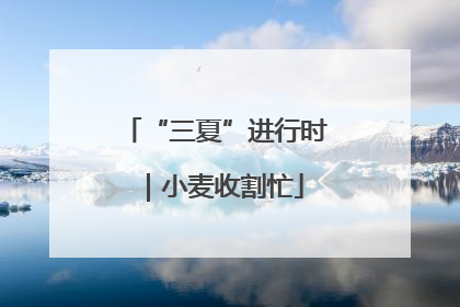 “三夏”进行时｜小麦收割忙