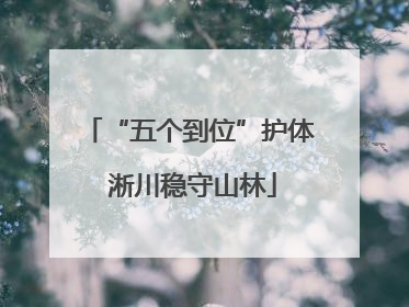 “五个到位”护体 淅川稳守山林