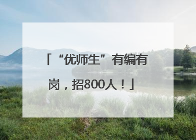 “优师生”有编有岗，招800人！