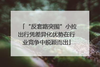 “反套路突围”小拉出行凭差异化优势在行业竞争中脱颖而出
