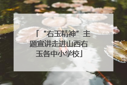 “右玉精神”主题宣讲走进山西右玉各中小学校