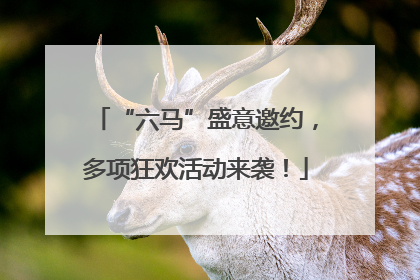“六马”盛意邀约，多项狂欢活动来袭！