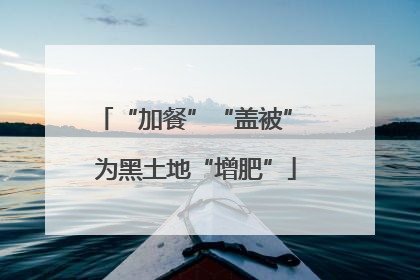 “加餐”“盖被” 为黑土地“增肥”