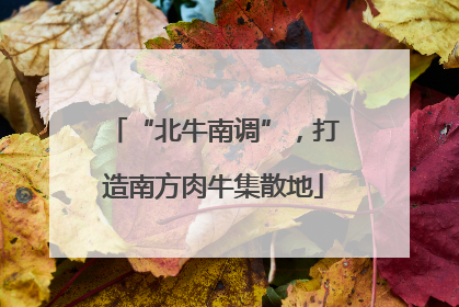 “北牛南调”，打造南方肉牛集散地