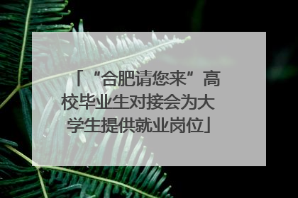 “合肥请您来”高校毕业生对接会为大学生提供就业岗位