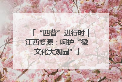 “四普”进行时｜江西婺源：呵护“徽文化大观园”