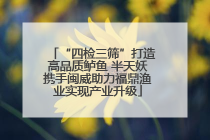 “四检三筛”打造高品质鲈鱼 半天妖携手闽威助力福鼎渔业实现产业升级