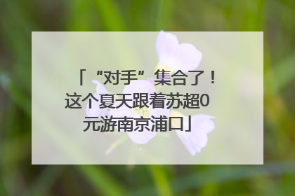“对手”集合了！这个夏天跟着苏超0元游南京浦口