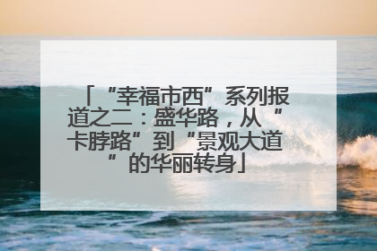 “幸福市西”系列报道之二：盛华路，从“卡脖路”到“景观大道”的华丽转身