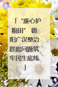 “廉心护粮田” 德阳广汉整治群腐问题筑牢民生底线