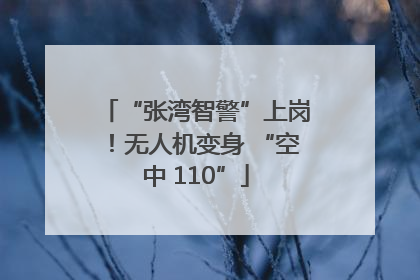“张湾智警”上岗！无人机变身 “空中 110”