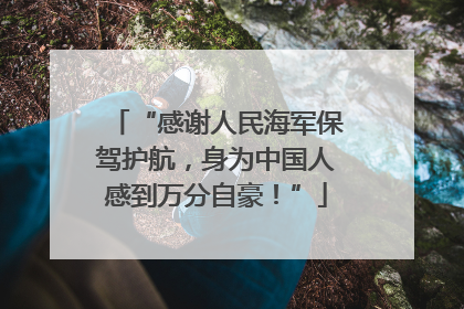 “感谢人民海军保驾护航，身为中国人感到万分自豪！”
