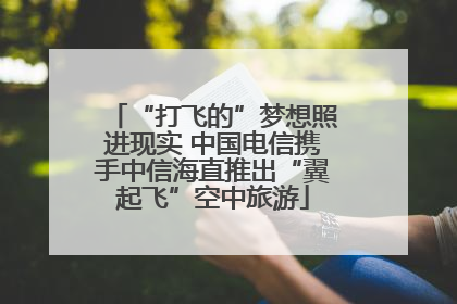 “打飞的”梦想照进现实 中国电信携手中信海直推出“翼起飞”空中旅游