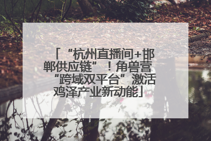 “杭州直播间+邯郸供应链”！角兽营“跨域双平台”激活鸡泽产业新动能