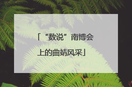 “数说”南博会上的曲靖风采