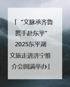 “文脉承齐鲁 携手赴东平”2025东平湖文旅走进济宁推介会圆满举办