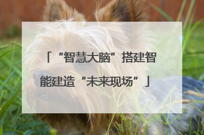 “智慧大脑”搭建智能建造“未来现场”
