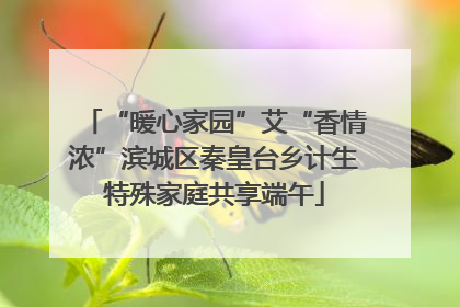 “暖心家园”艾“香情浓”滨城区秦皇台乡计生特殊家庭共享端午