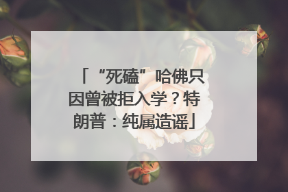 “死磕”哈佛只因曾被拒入学？特朗普：纯属造谣
