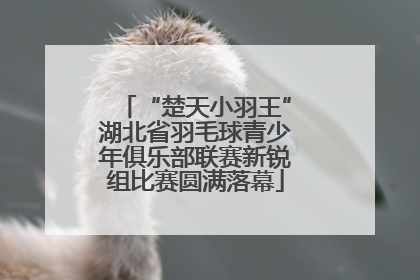“楚天小羽王”湖北省羽毛球青少年俱乐部联赛新锐组比赛圆满落幕