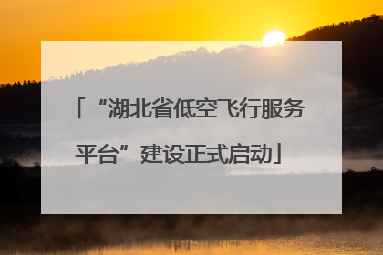 “湖北省低空飞行服务平台”建设正式启动