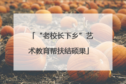 “老校长下乡”艺术教育帮扶结硕果