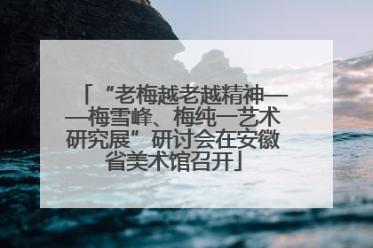 “老梅越老越精神——梅雪峰、梅纯一艺术研究展”研讨会在安徽省美术馆召开