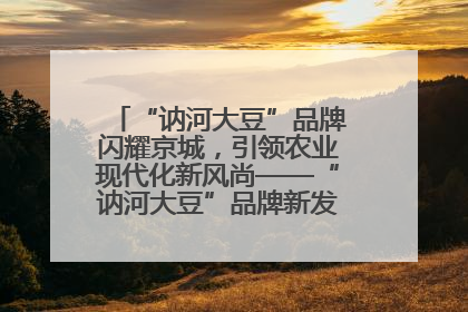 “讷河大豆”品牌闪耀京城，引领农业现代化新风尚——“讷河大豆”品牌新发地推介会圆满落幕