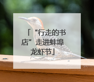 “行走的书店”走进蚌埠龙虾节
