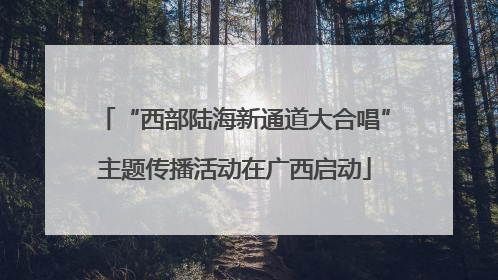 “西部陆海新通道大合唱”主题传播活动在广西启动
