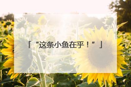 “这条小鱼在乎！”