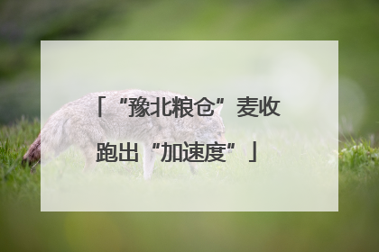 “豫北粮仓”麦收跑出“加速度”