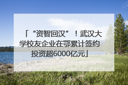 “资智回汉”！武汉大学校友企业在鄂累计签约投资超6000亿元