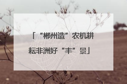 “郴州造”农机耕耘非洲好“丰”景